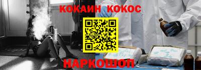 бошки Кингисепп