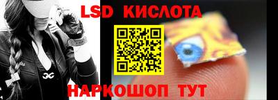 бошки Кингисепп