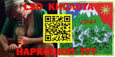 бошки Кингисепп