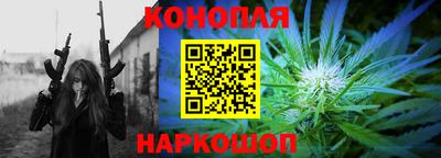 бошки Кингисепп