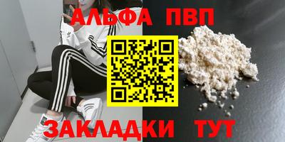 бошки Кингисепп