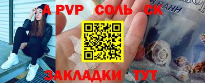 бошки Кингисепп