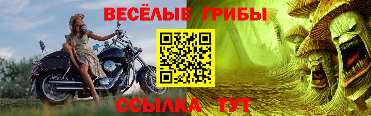 Элиста  Псилоцибиновые грибы Cubensis  Псилоцибиновые грибы Magic Shrooms  Вход с VPN 